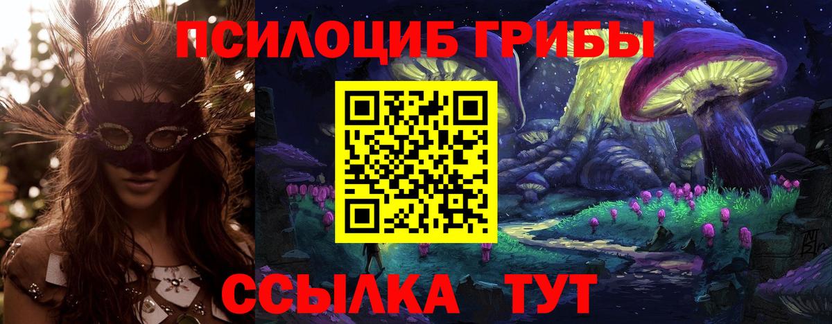 Псилоцибиновые грибы мицелий Тулун