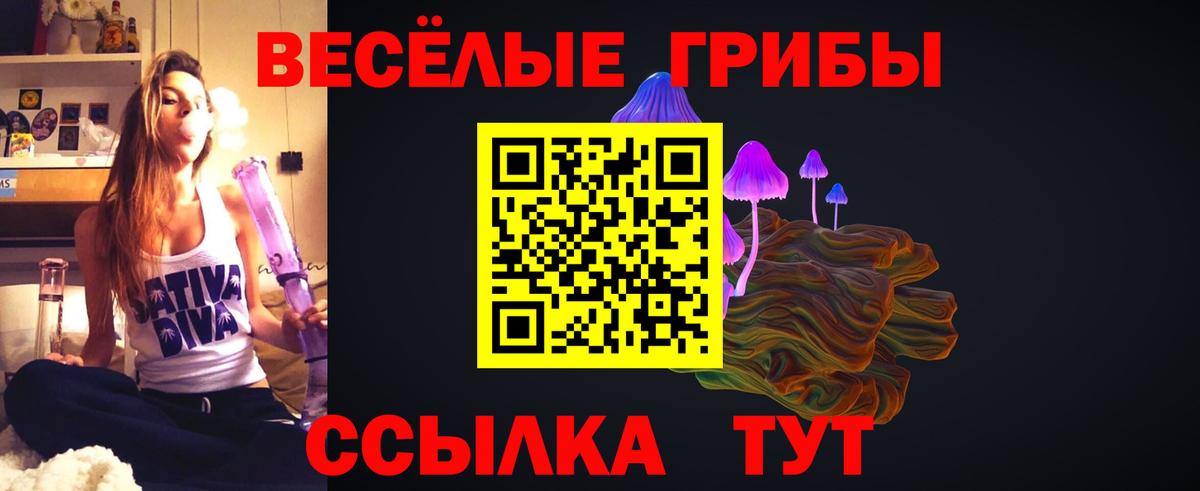 Галлюциногенные грибы прущие грибы  Вход с VPN  Тулун  Галлюциногенные грибы прущие грибы 